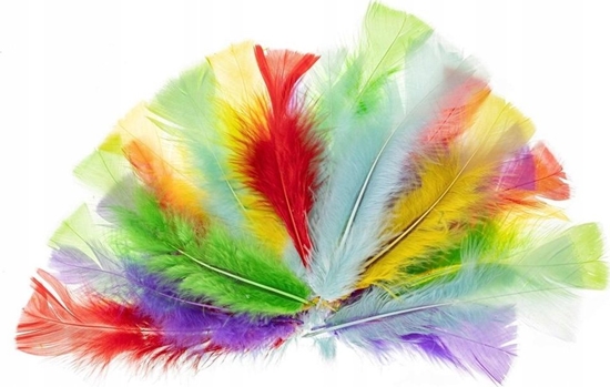 Изображение FANDY Piórka indycze 10-15cm pastelowe