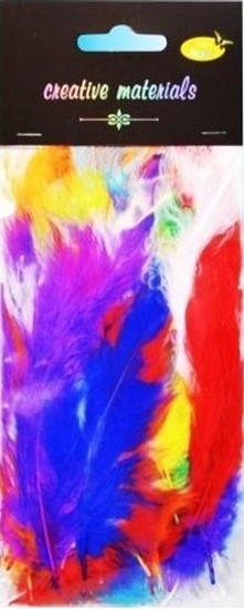 Изображение FANDY Piórka mikkie flauszowe 10cm 5g