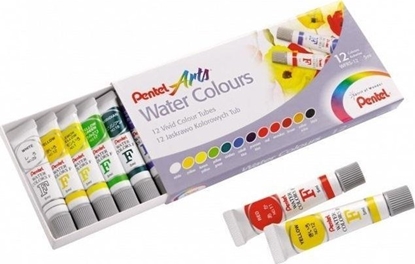 Picture of Farby akwarelowe w tubach 12 kolorów PENTEL