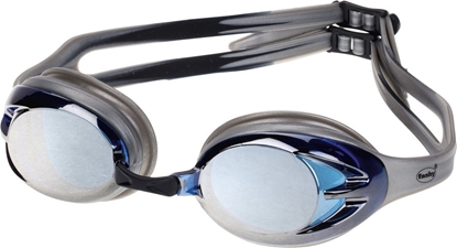 Изображение Fashy Swim goggles POWER MIRROR 4156 12 L silver