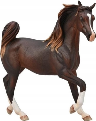 Attēls no Figurka Collecta COLLECTA ARABSKA KLACZ WTROBOWA