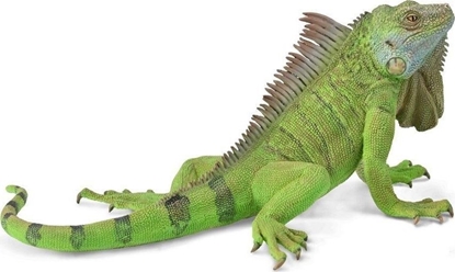 Attēls no Figurka Collecta COLLECTA IGUANA