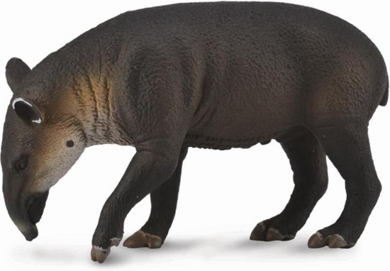 Picture of Figurka Collecta Tapir - ciel Bairda (004-88596)