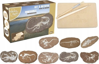 Attēls no Figurka Teka Dua figurka dinozaura - wykopalisko kamie MIX