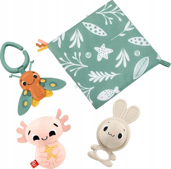 Picture of Fisher Price Zestaw prezentowy wiat zmysów Fisher Price