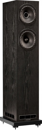 Picture of FyneAudio F501E