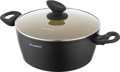 Picture of Florina Garnek aluminiowy Florina AmVegan 24 cm 3,6 l by Mateusz Gessler