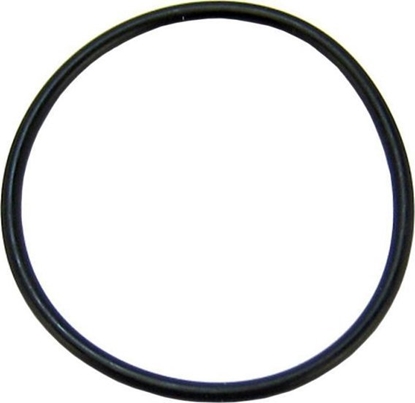 Picture of Fluval Uszczelka pokrywy filtra FX - A20210