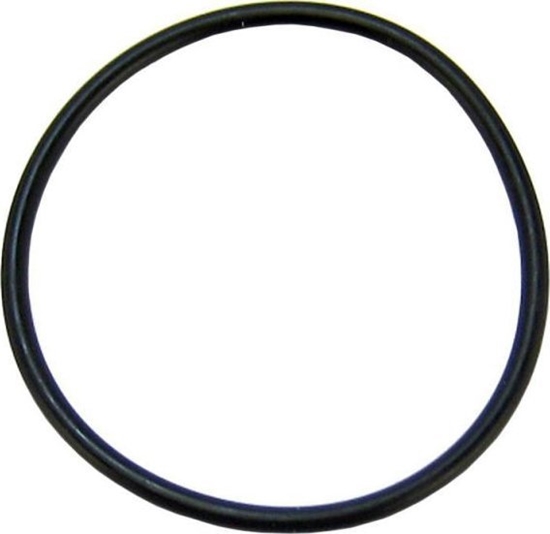 Picture of Fluval Uszczelka pokrywy filtra FX - A20210