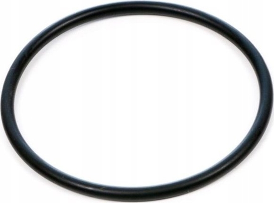 Picture of Fluval Uszczelka silnika, O-ring do filtrów FX - A20207