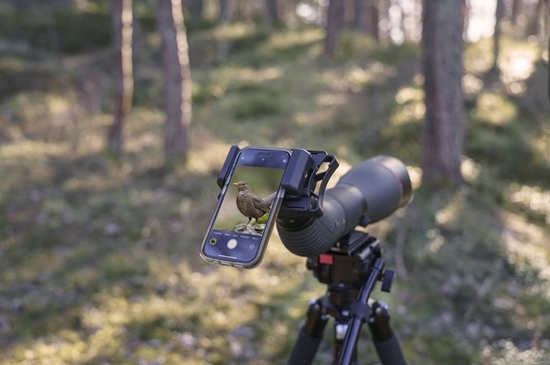 Picture of Focus Connect Digiscoping Adapter