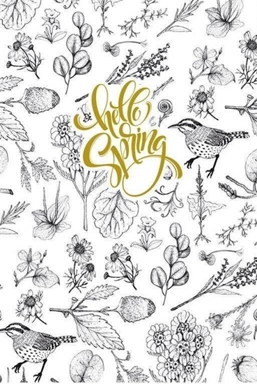 Picture of Fresh Notatnik ozdobny 145x197/80K TW Ptaszki