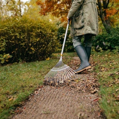 Attēls no FS.GRABIE DO LICI METALOWE WACHLARZOWE ERGONOMIC