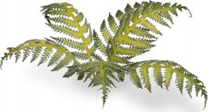 Picture of Gamers Grass Gamers Grass: Laser Plants - Bracken - Papro