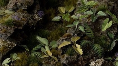 Picture of Gamers Grass Gamers Grass: Laser Plants - Elephant Ear - Kolokazja