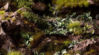 Attēls no Gamers Grass Gamers Grass: Laser Plants - Plantain Lily - Funkia