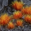 Picture of Gamers Grass Gamers Grass: Special tufts - 6 mm - Alien Fire Tuft (Wild)