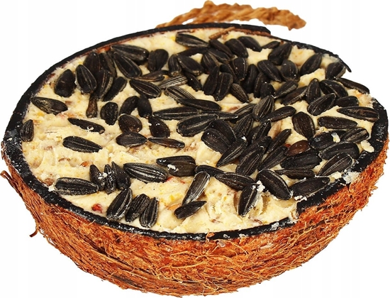 Picture of Garden&Fun Karma tuszczowa z nasionami sonecznika w kokosie poówce dla ptaków wolnoyjcych, 290 g