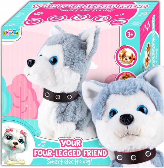 Изображение Gotel B24D PIES INTERAKTYWNY STEROWANY GOSEM