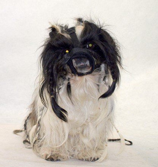 Изображение Grande Finale Kaganiec dla psa pekiczyk rozmiar 1 (12-24cm)