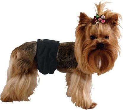 Picture of Grande Finale Pampas czarny - majtki dla samca rozmiar 1 [PA1/1]