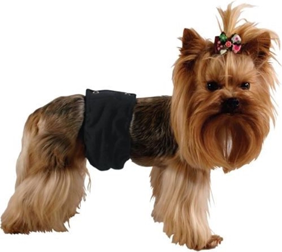 Изображение Grande Finale Pampas czarny - majtki dla samca rozmiar 5 [PA1/5]