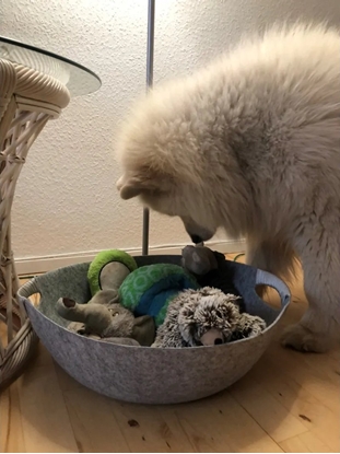 Attēls no Gravity Paw Love - Hundekurv af filt (47 x 45 x 17 cm) - Grå