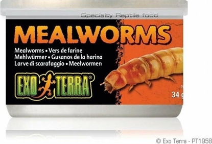Attēls no Hagen HAGEN-EXO TERRA Puszka Mealworms 34g.