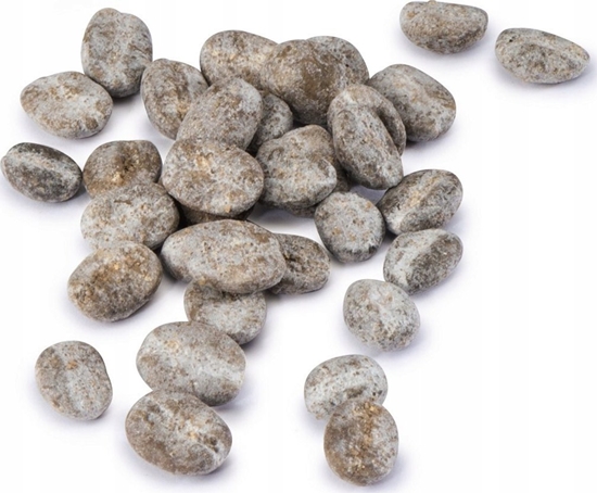 Picture of Hama XAVAX ZIARNA ZE RODKIEM DO CZYSZCZENIA MYNKÓW DO AUTOMATYCZNYCH EKSPRESÓW DO KAWY, ZESTAW 3 SZT