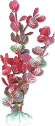 Attēls no Happet Rolina blister 20cm 2b53 Happet