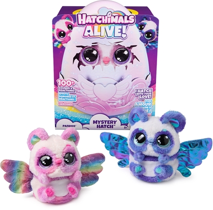 Attēls no HATCHIMALS Interactive toy Hatchimal Pandoo