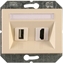 Attēls no HDMI AND USB PORT (BEIGE COLOUR XP500