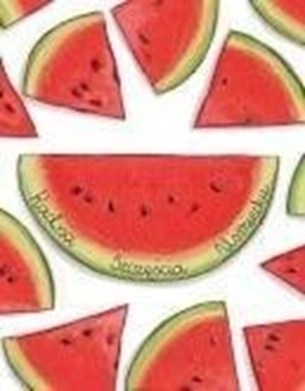 Picture of HENRY Karnet B6 Arbuzy