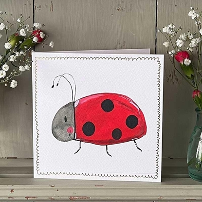 Picture of HENRY Karnet S518 Biedronka