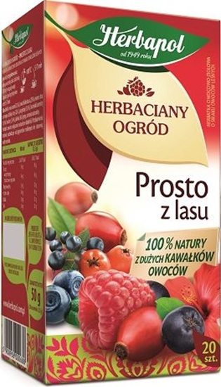 Изображение Herbapol HERBACIANY OGRÓD PROSTO Z LASU HERBATKA OWOCOWO-ZIOOWA O SMAKU OWOCÓW LENYCH 20 SZTUK 24953952