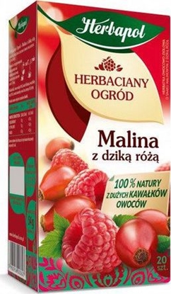 Изображение Herbapol Herbata herbapol herbaciany ogród malina z dzik ró 20/p
