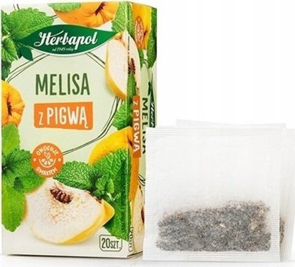 Attēls no Herbapol Herbata HERBAPOL Zielnik Polski, 20 torebek, melisa z pigw