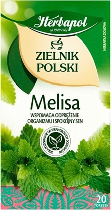 Attēls no Herbapol ZIELNIK POLSKI MELISA