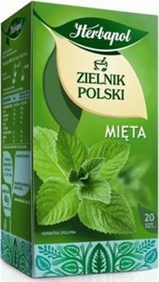 Picture of Herbapol ZIELNIK POLSKI MITA 69899953