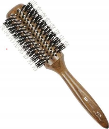 Picture of Hercules Hercules epetys HER9029