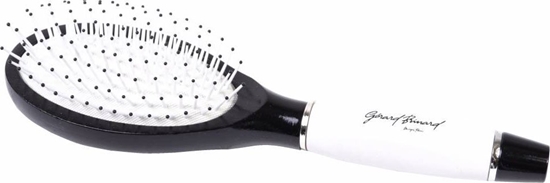 Picture of Hercules Stilingas medinis epetys Gerard Brinard