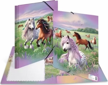 Picture of HERMA 20117 okadka Karton Wielobarwny A4