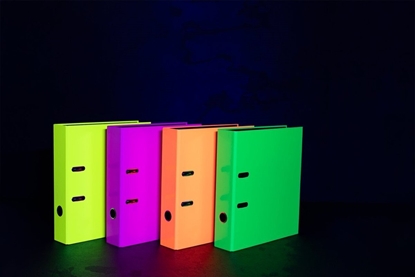Picture of Herma HERMA  Ordner sortiert A4 Karton Neon 10Stk