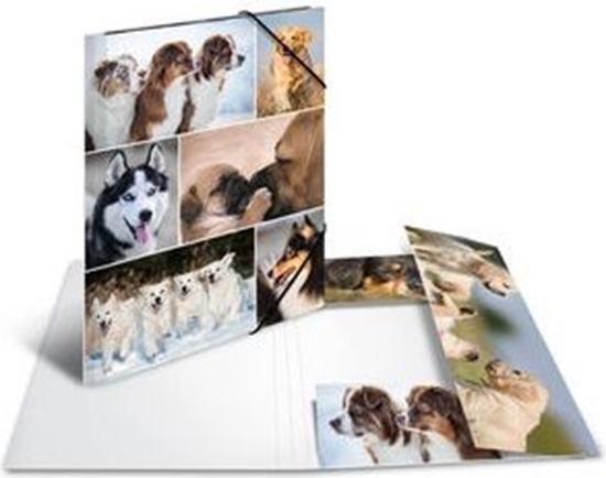 Picture of Herma Teczka A4 (19211)