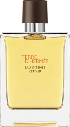 Изображение Hermès Terre d'Hermes Eau Intense Vetiver EDP 100 ml
