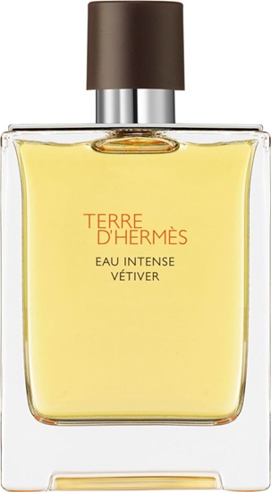 Изображение Hermès Terre d'Hermes Eau Intense Vetiver EDP 100 ml