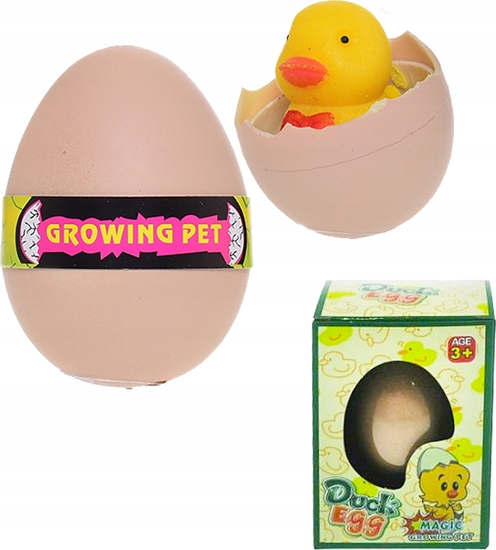 Picture of Hipo Jajo rosnce Kaczuszka 6cm 6 wzorów p12 cena za 1 szt