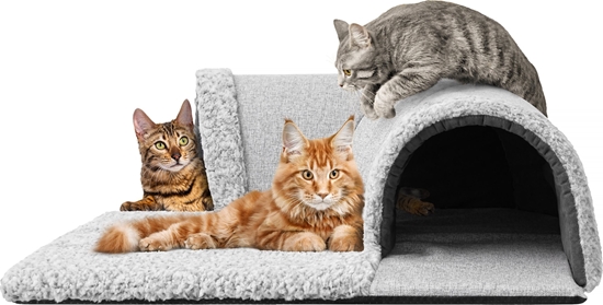 Picture of Hobbydog TUNEL GALERIA POPIELATY