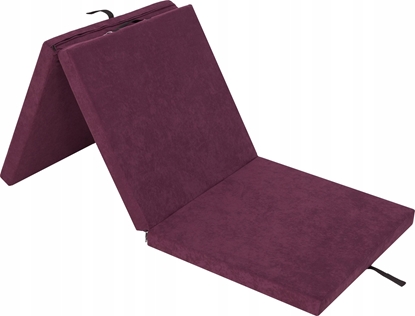 Изображение Hobbygarden MATERAC SKADANY BEN - L - BORDO