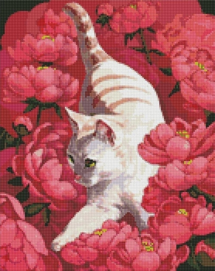 Изображение Ideyka Diamentowa mozaika - Kot w piwoniach 40x50cm